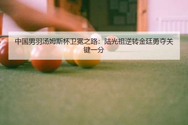 中国男羽汤姆斯杯卫冕之路：陆光祖逆转金廷勇夺关键一分